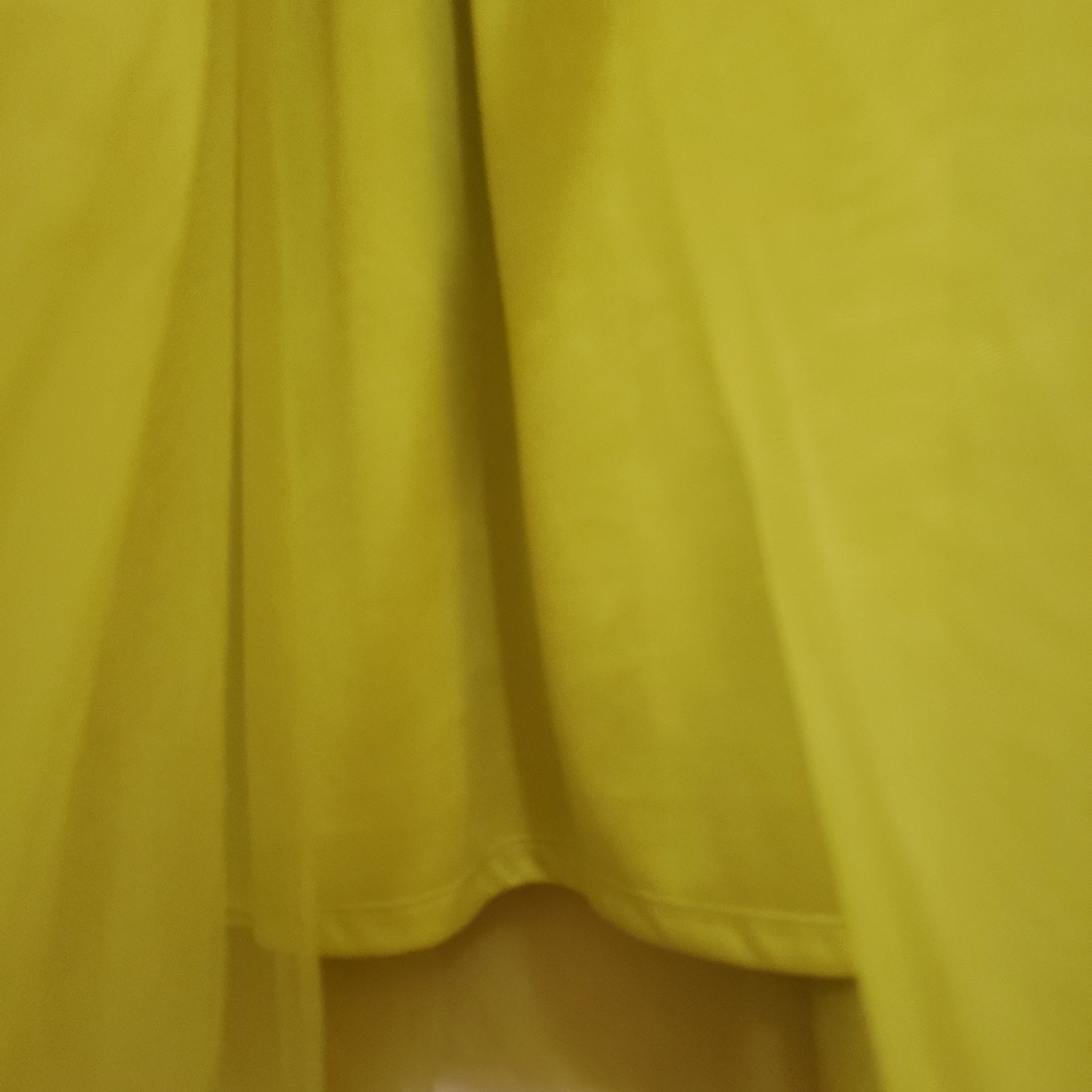 Skirt - Picture 3 of 3